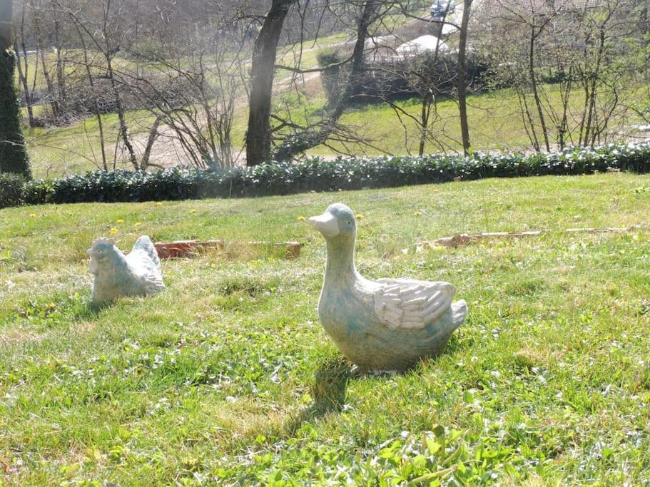 Au Coeur De La Dombes Villa Saint-Paul-de-Varax Kültér fotó
